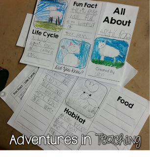 Animal Research Project in the Lower Grades | Adventures in Teaching